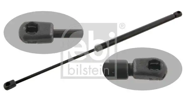 Vérins de hayon / coffre à bagages FEBI BILSTEIN 31029