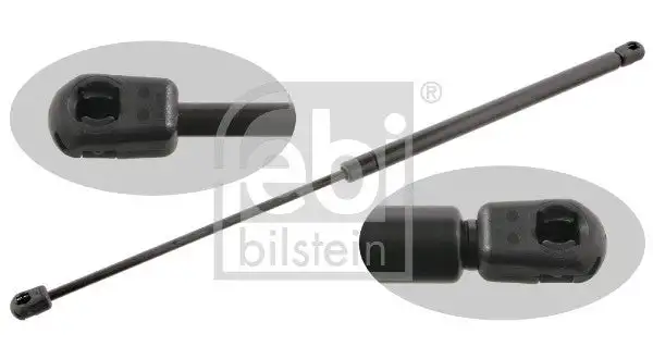 Vérins de hayon / coffre à bagages FEBI BILSTEIN 31084