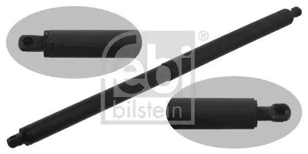 Vérins de hayon / coffre à bagages FEBI BILSTEIN 36250